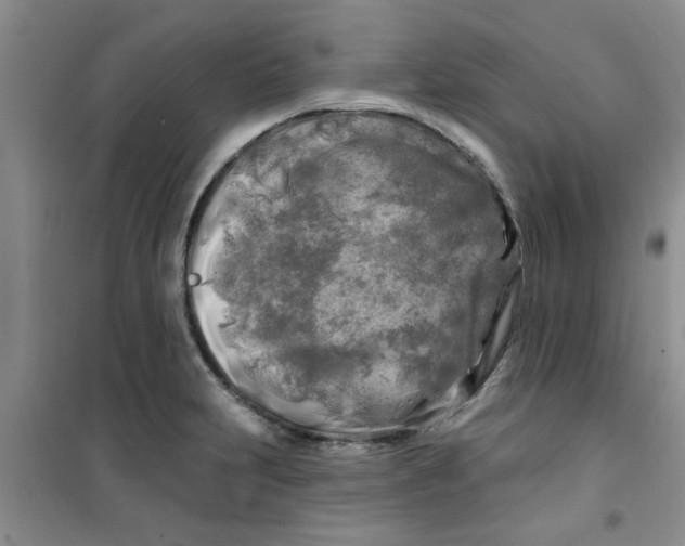 X0000100971231200807221201