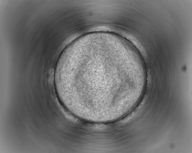 X0000100971233200807221201