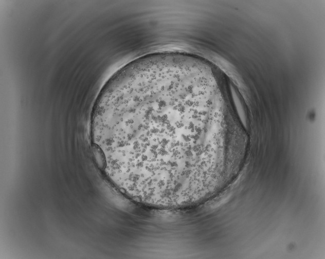 X0000100971234200807221201