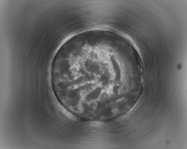 X0000100971235200807221201