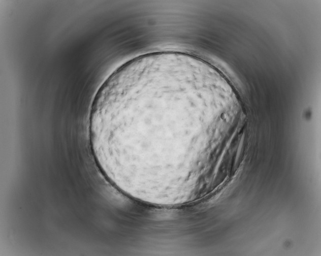 X0000100971236200807221201