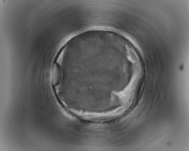 X0000100971237200807221201
