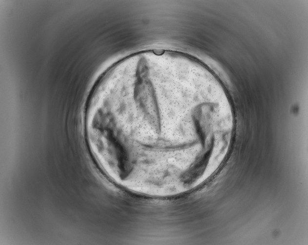 X0000100971238200807221201