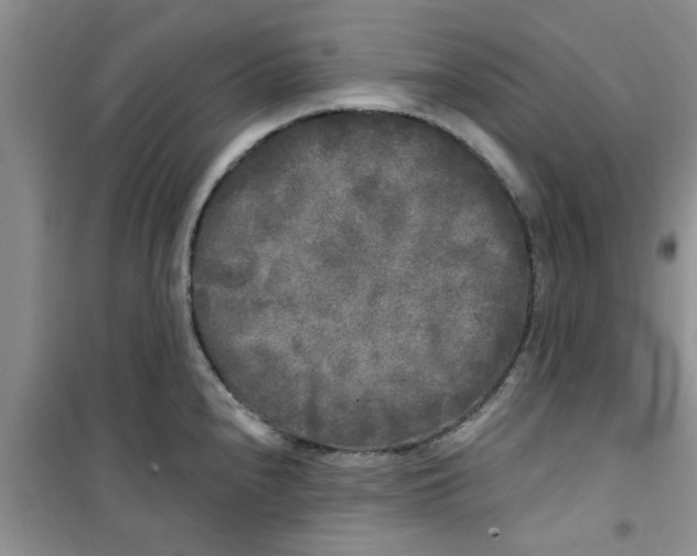 X0000100971240200807221202