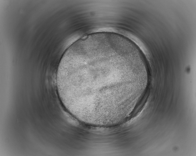 X0000100971241200807221202