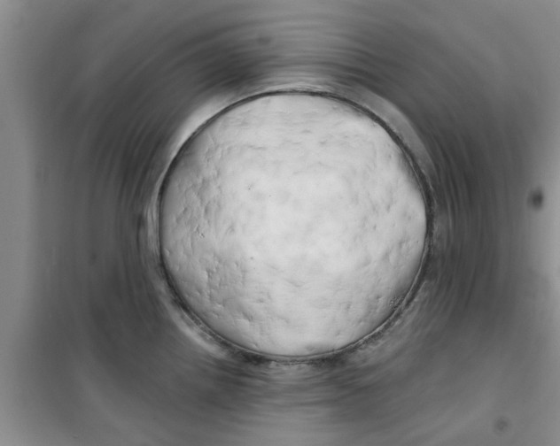 X0000100971242200807221202