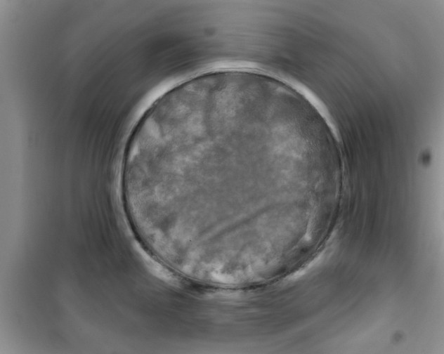 X0000100971245200807221202