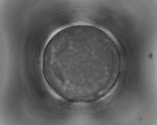 X0000100971246200807221202