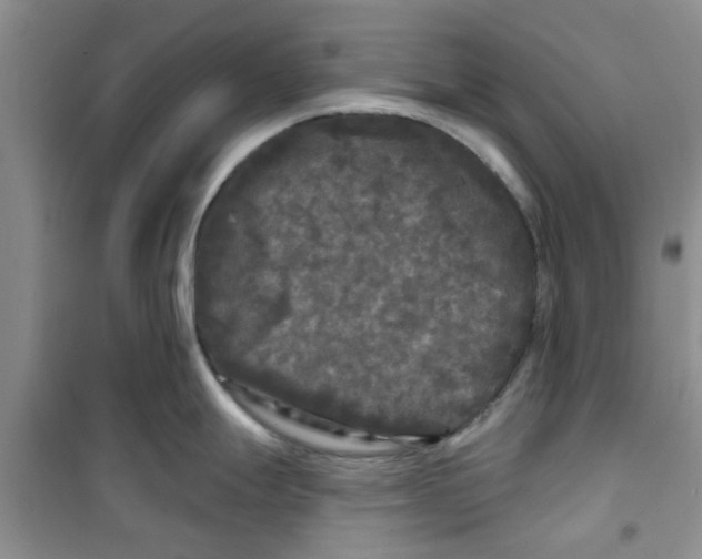 X0000100971247200807221202