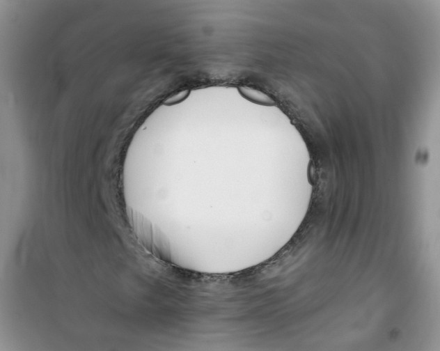 X0000100971249200807221201