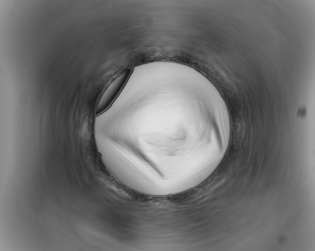 X0000100971250200807221201