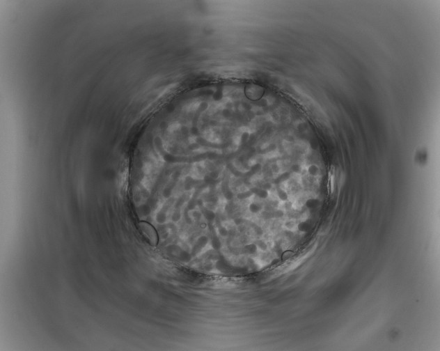 X0000100971251200807221201