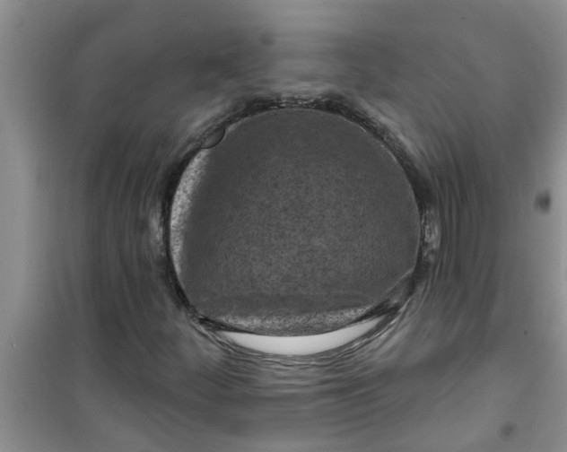 X0000100971252200807221201