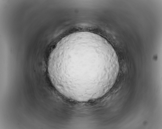 X0000100971253200807221201