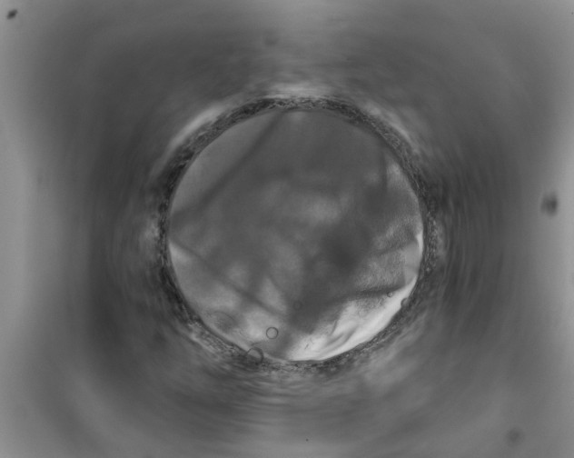 X0000100971254200807221201