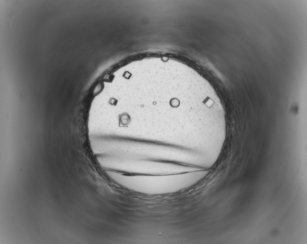 X0000100971256200807221201