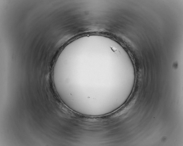 X0000100971257200807221201