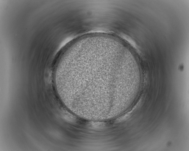 X0000100971258200807221201