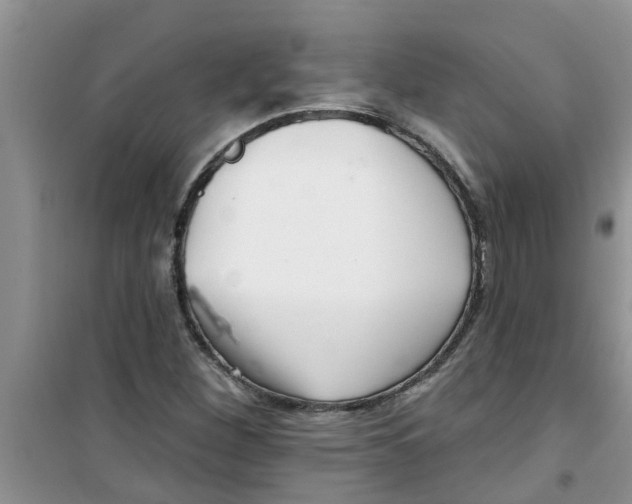 X0000100971260200807221201