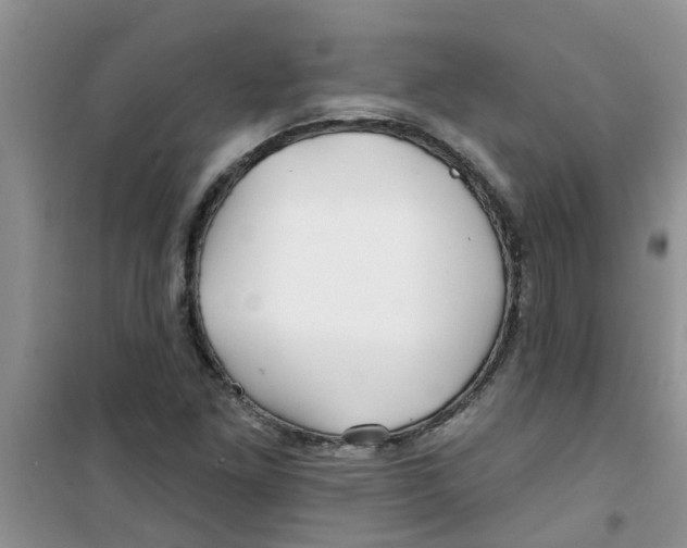 X0000100971261200807221201