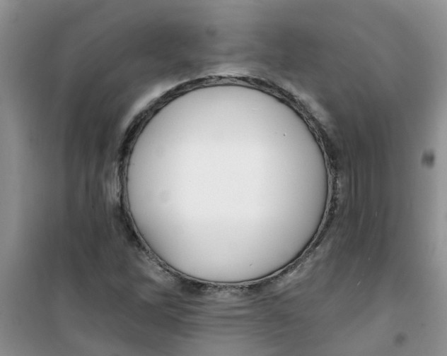 X0000100971262200807221201