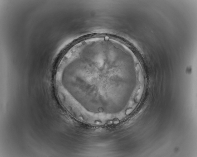 X0000100971263200807221201