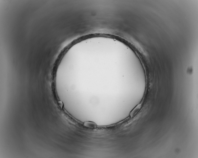X0000100971264200807221201