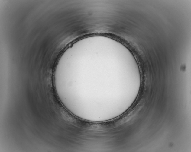 X0000100971265200807221201