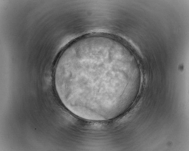 X0000100971266200807221201