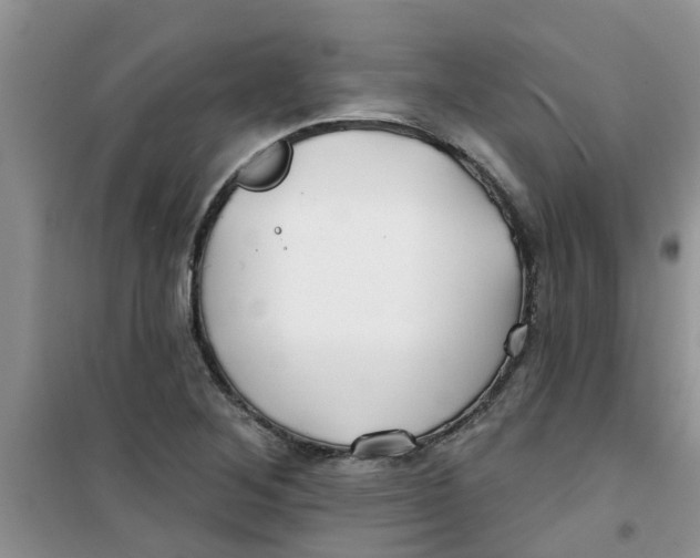 X0000100971268200807221201