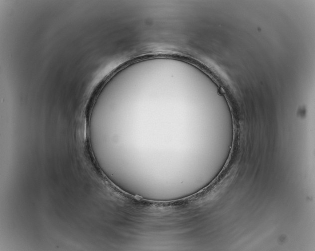 X0000100971269200807221201