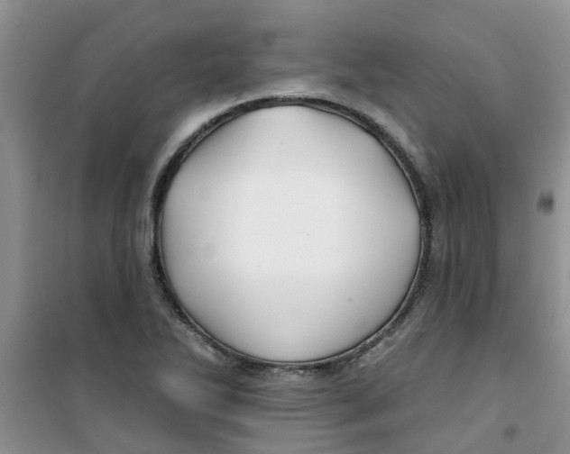 X0000100971270200807221201