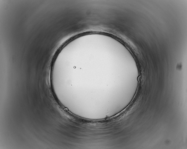 X0000100971272200807221201