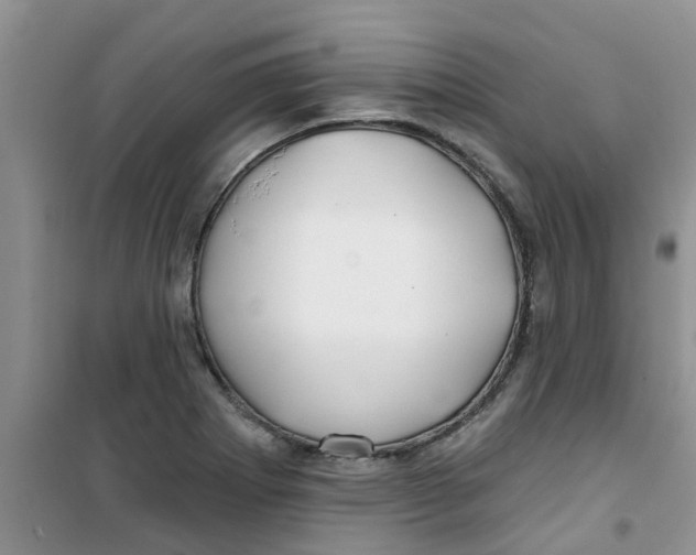 X0000100971273200807221201