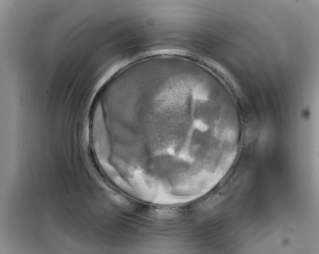 X0000100971274200807221201