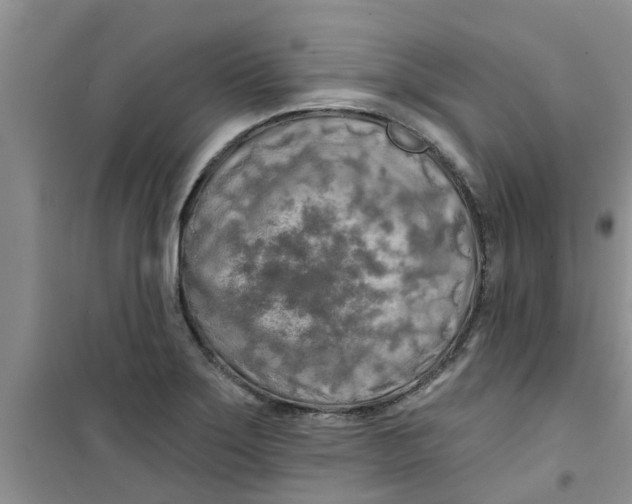 X0000100971275200807221201