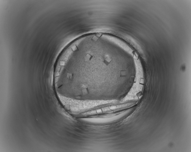 X0000100971276200807221201