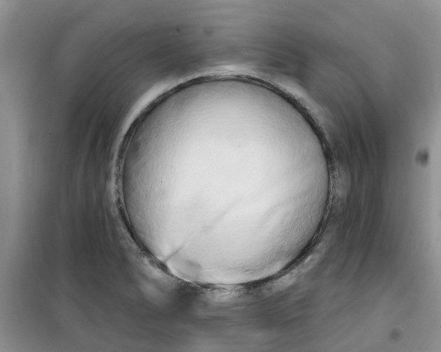 X0000100971278200807221200