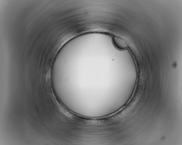 X0000100971281200807221200
