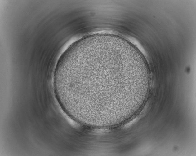 X0000100971282200807221200