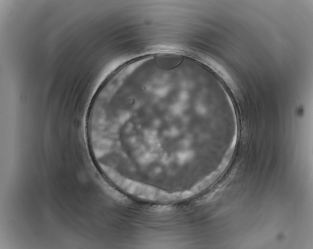 X0000100971283200807221200