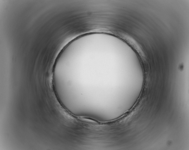 X0000100971284200807221200