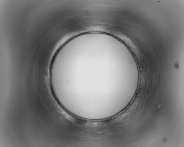 X0000100971286200807221200
