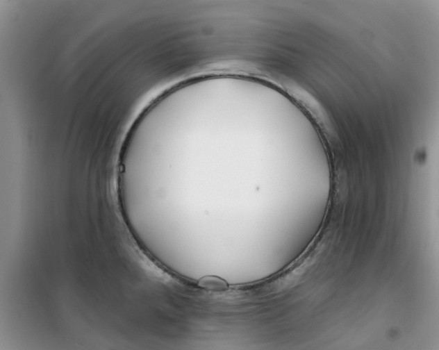 X0000100971288200807221200