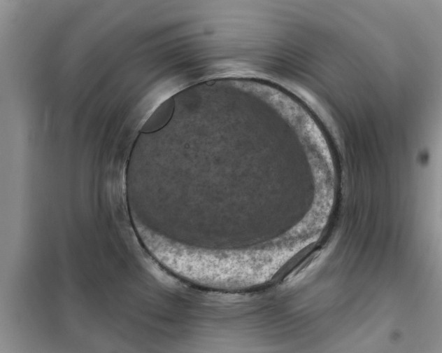 X0000100971289200807221200