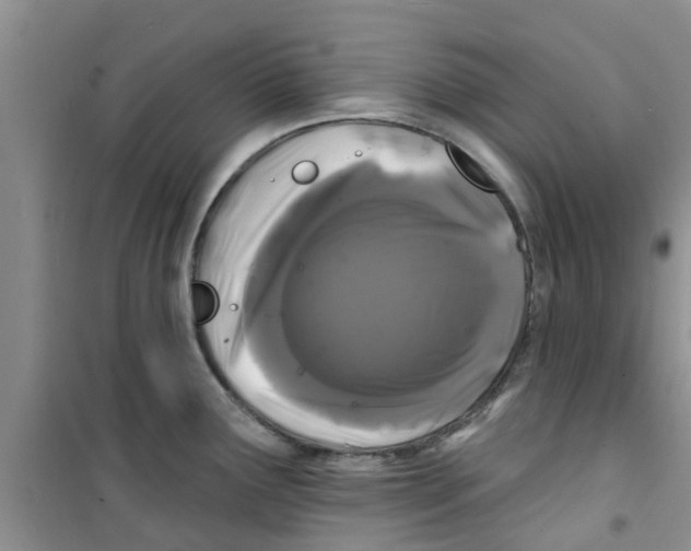 X0000100971291200807221200