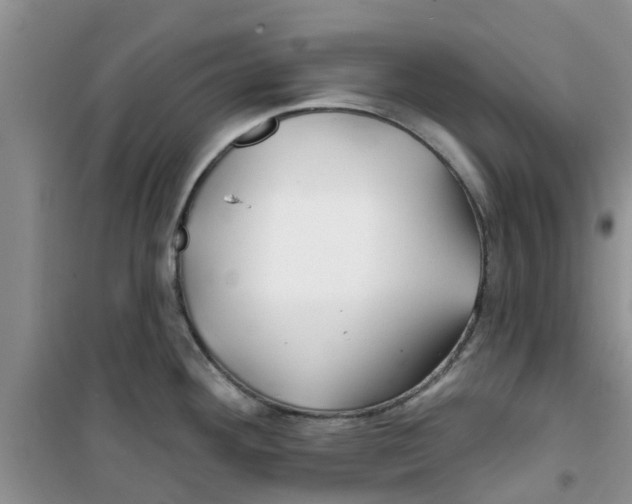 X0000100971292200807221200