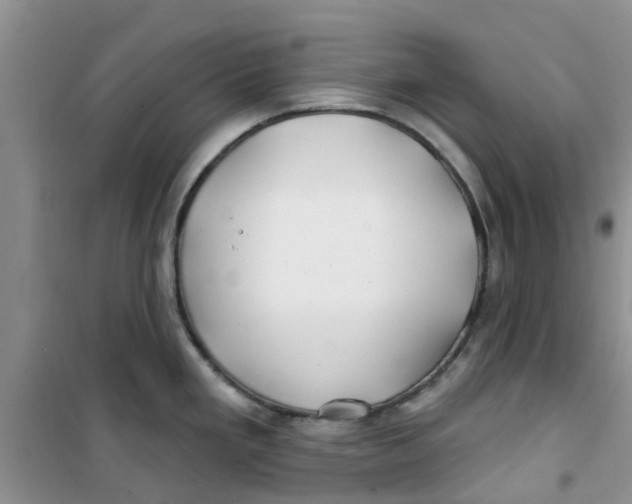 X0000100971293200807221200