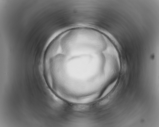 X0000100971294200807221200