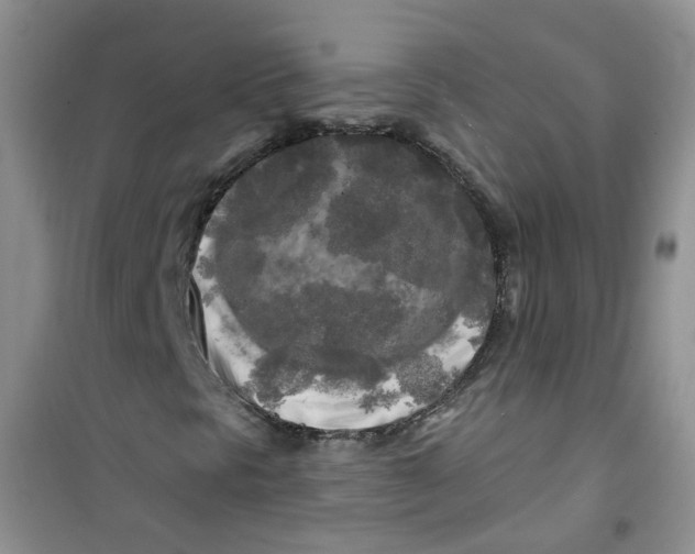 X0000100971297200807221200